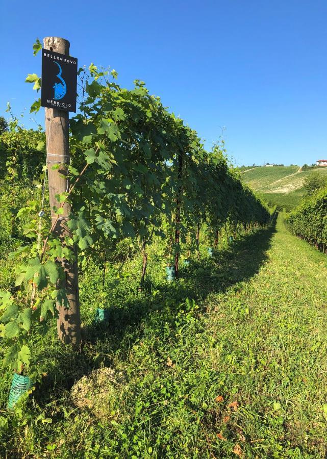 Cascina Bellonuovo Алба Екстериор снимка